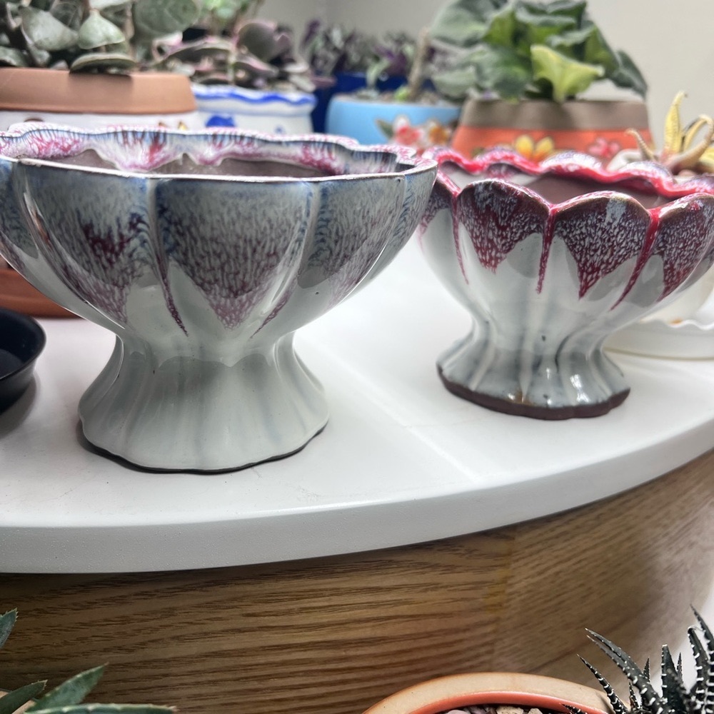 ❤️FLOWER/SUCCULENT POTS SET OF 2❤️